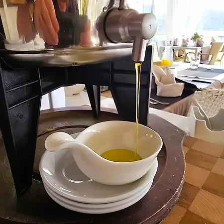 Apartahotel Relais Olivi Costermano